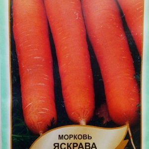 морква Яскрава