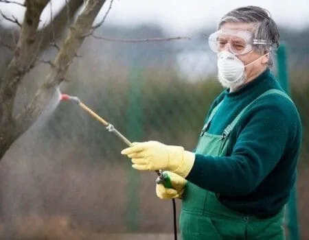 обробка саду пестицидами