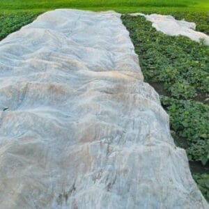 агроволокно укривне на ділянці