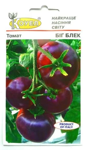 помідор Біг Блек