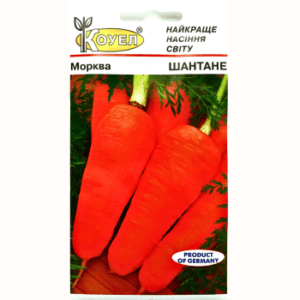 насіння моркви Шантане