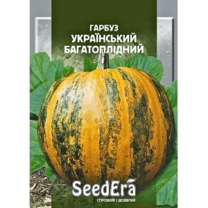 насіння гарбуза Український багатоплідний