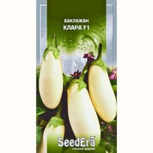 насіння баклажан Клара F1