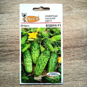 насіння огірка Бодіна F1, 15 шт