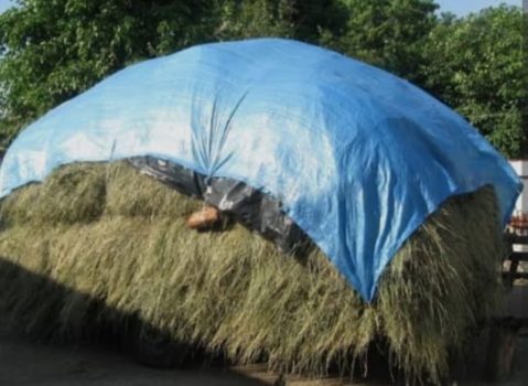 тент для захисту сіна,соломи